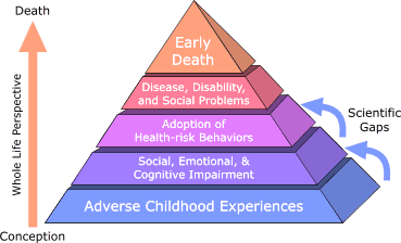 cognitive decline